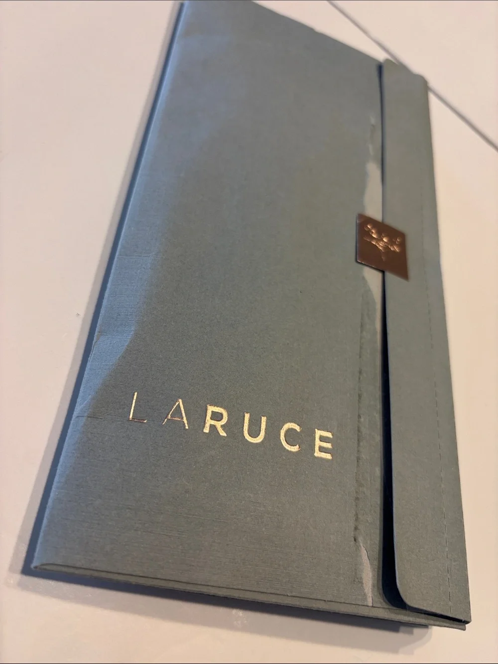 Laruce Essentials Brush Set in Blue
